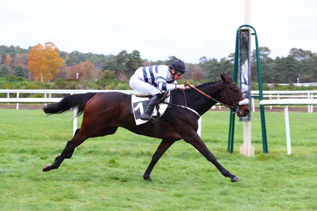 Photo d'arrivée de la course pmu PRIX DE MACHERIN à FONTAINEBLEAU le Mardi 26 novembre 2019