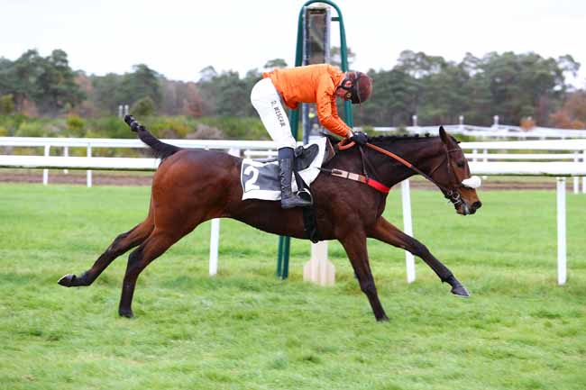 Photo d'arrivée de la course pmu PRIX DE LA GROTTE DES ERMITES à FONTAINEBLEAU le Mardi 26 novembre 2019