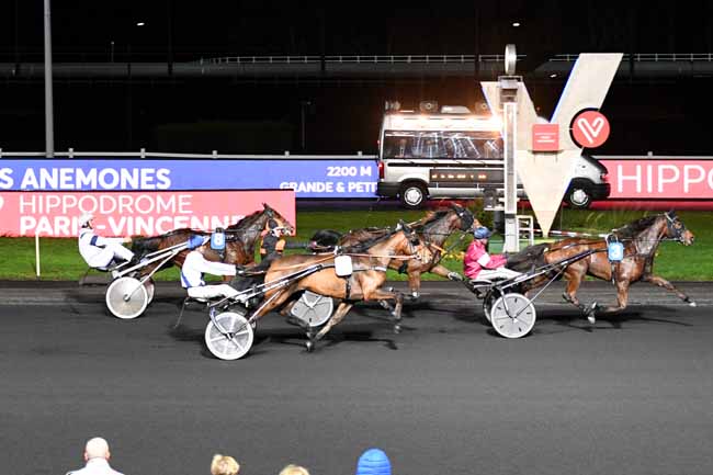 Photo d'arrivée de la course pmu PRIX DES ANEMONES à PARIS-VINCENNES le Mercredi 27 novembre 2019
