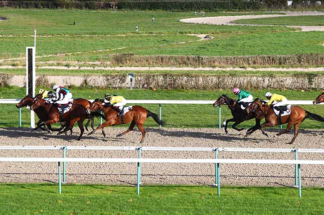 Photo d'arrivée de la course pmu PRIX DE LA CERISAIE à DEAUVILLE le Jeudi 28 novembre 2019