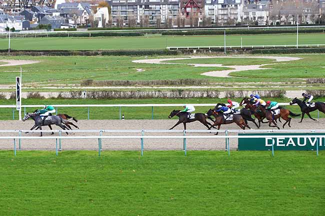 Photo d'arrivée de la course pmu PRIX DES COGNASSIERS à DEAUVILLE le Jeudi 28 novembre 2019