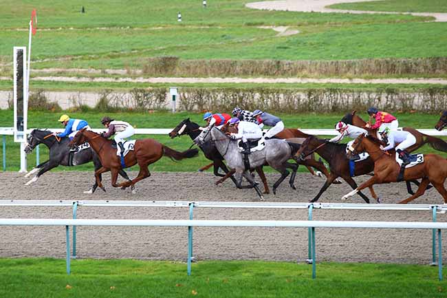 Photo d'arrivée de la course pmu PRIX DES POIRIERS à DEAUVILLE le Jeudi 28 novembre 2019