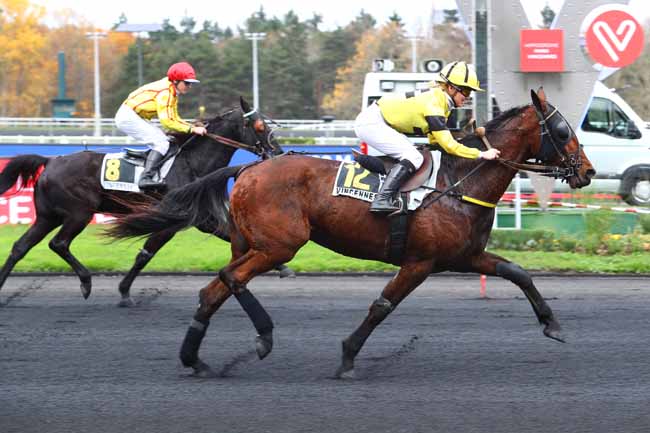 Photo d'arrivée de la course pmu PRIX DE GRENOBLE à PARIS-VINCENNES le Jeudi 28 novembre 2019