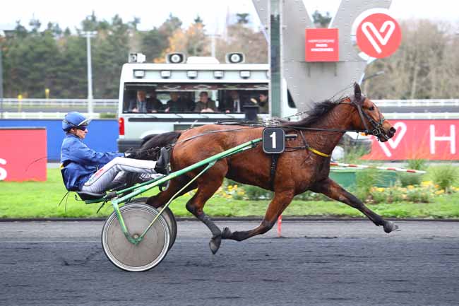 Photo d'arrivée de la course pmu PRIX DES AZALEES à PARIS-VINCENNES le Jeudi 28 novembre 2019