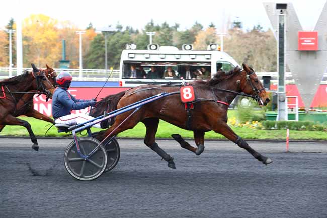 Photo d'arrivée de la course pmu PRIX DE MIRAMBEAU à PARIS-VINCENNES le Jeudi 28 novembre 2019
