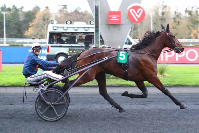 Photo d'arrivée de la course pmu PRIX DE CABRIERES à PARIS-VINCENNES le Jeudi 28 novembre 2019
