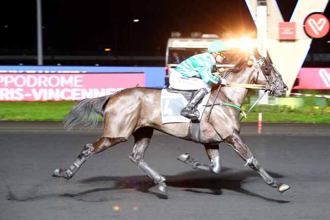 Photo d'arrivée de la course pmu PRIX TAYJETA à PARIS-VINCENNES le Vendredi 29 novembre 2019