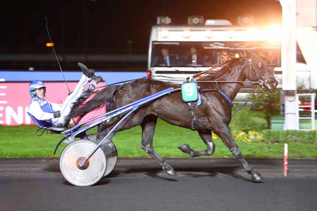 Photo d'arrivée de la course pmu PRIX VIBILIA à PARIS-VINCENNES le Vendredi 29 novembre 2019