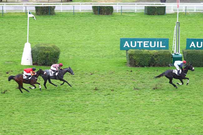 Photo d'arrivée de la course pmu PRIX PETIT BOB à AUTEUIL le Vendredi 29 novembre 2019