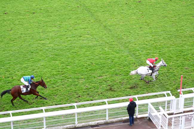 Photo d'arrivée de la course pmu PRIX CHALET à AUTEUIL le Vendredi 29 novembre 2019