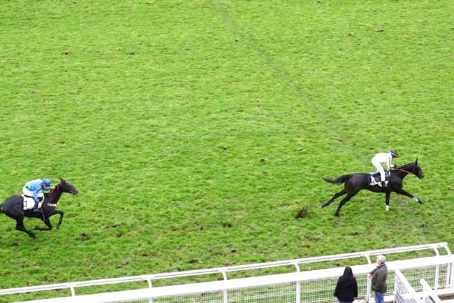 Photo d'arrivée de la course pmu PRIX FRANCOIS DE PONCINS à AUTEUIL le Vendredi 29 novembre 2019