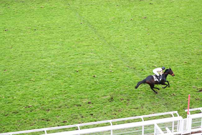 Photo d'arrivée de la course pmu PRIX DE L'AISNE à AUTEUIL le Vendredi 29 novembre 2019