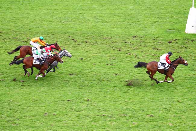 Photo d'arrivée de la course pmu PRIX LE PONTET à AUTEUIL le Vendredi 29 novembre 2019