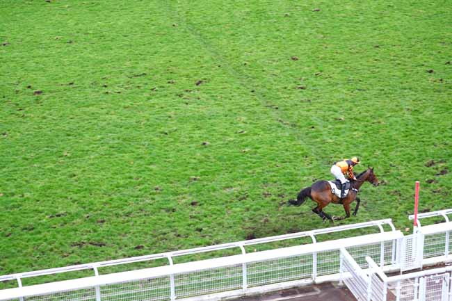 Photo d'arrivée de la course pmu PRIX DANDOLO à AUTEUIL le Vendredi 29 novembre 2019