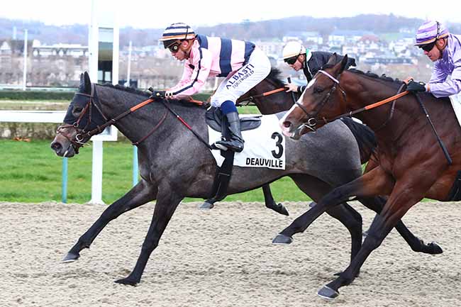Photo d'arrivée de la course pmu PRIX DES AUTHIEUX à DEAUVILLE le Dimanche 1 décembre 2019