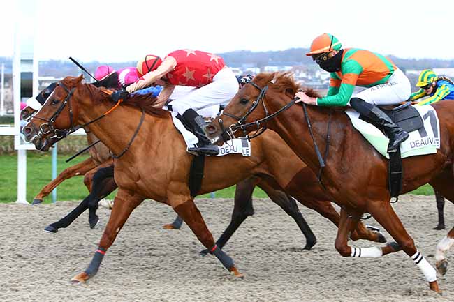 Photo d'arrivée de la course pmu PRIX GOLD BEACH à DEAUVILLE le Dimanche 1 décembre 2019