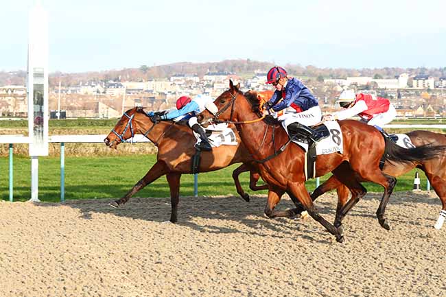 Photo d'arrivée de la course pmu PRIX D'OCCAGNES à DEAUVILLE le Dimanche 1 décembre 2019