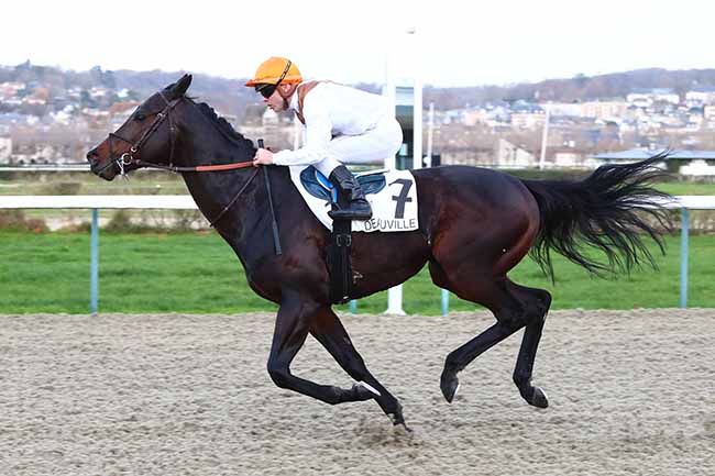 Photo d'arrivée de la course pmu PRIX DE LA PLAGE FLEURIE à DEAUVILLE le Dimanche 1 décembre 2019