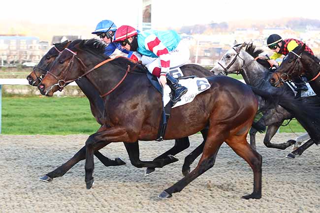 Photo d'arrivée de la course pmu PRIX DES CHAUMIERES à DEAUVILLE le Lundi 2 décembre 2019