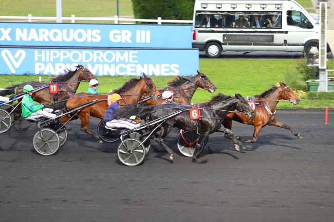Photo d'arrivée de la course pmu PRIX NARQUOIS à PARIS-VINCENNES le Samedi 7 décembre 2019