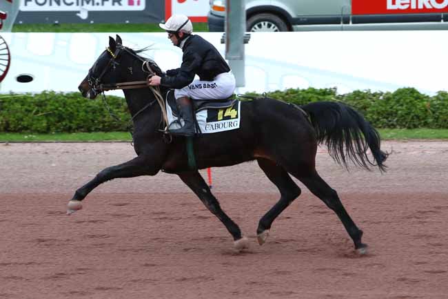 Photo d'arrivée de la course pmu PRIX DES PEUPLIERS à CABOURG le Mardi 10 décembre 2019