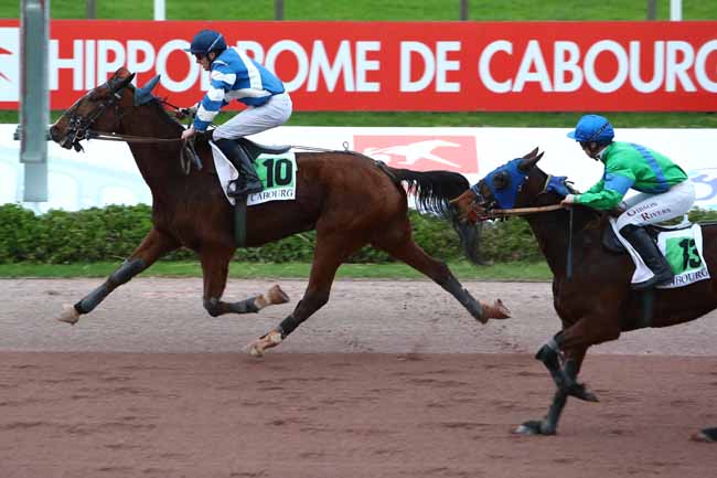 Photo d'arrivée de la course pmu PRIX DES SAULES à CABOURG le Mardi 10 décembre 2019