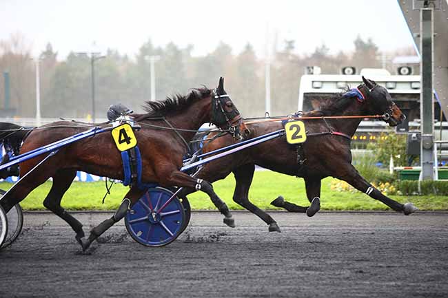 Photo d'arrivée de la course pmu PRIX DU MORBIHAN à PARIS-VINCENNES le Jeudi 12 décembre 2019