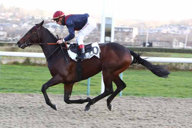 Photo d'arrivée de la course pmu PRIX DE BAVENT à DEAUVILLE le Vendredi 13 décembre 2019