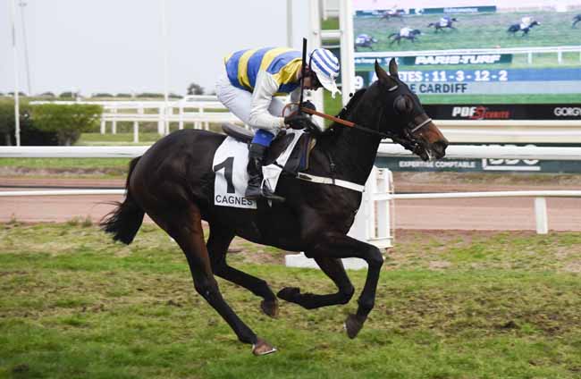 Photo d'arrivée de la course pmu PRIX DE CARDIFF à CAGNES-SUR-MER le Mardi 17 décembre 2019