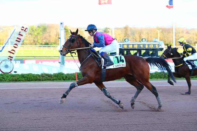 Photo d'arrivée de la course pmu PRIX DES NOYERS à CABOURG le Jeudi 19 décembre 2019