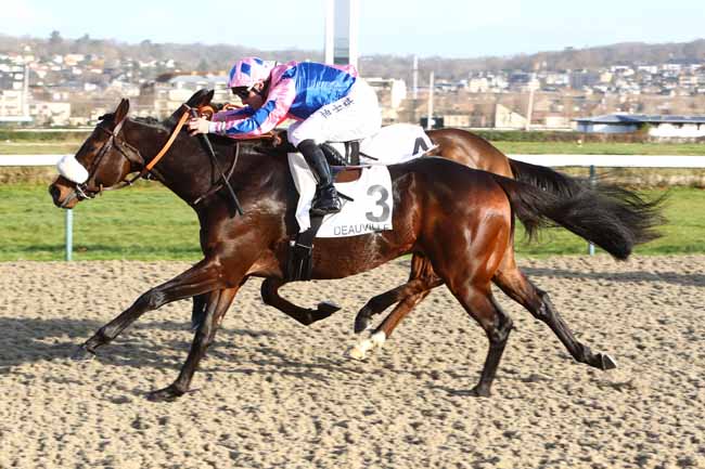 Photo d'arrivée de la course pmu PRIX HELEN STREET à DEAUVILLE le Dimanche 22 décembre 2019