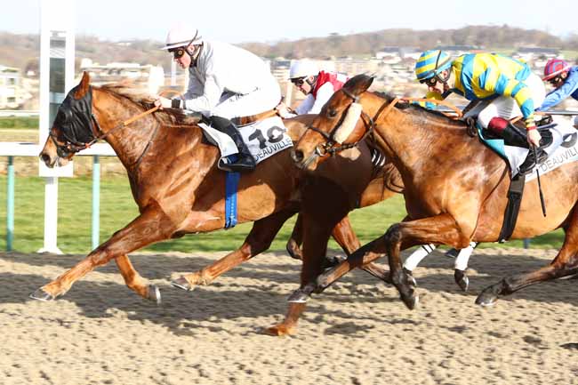 Photo d'arrivée de la course pmu PRIX DU MASSIF ARMORICAIN à DEAUVILLE le Dimanche 22 décembre 2019