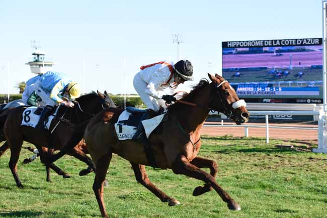 Photo d'arrivée de la course pmu PRIX DE LA PICARDIE à CAGNES-SUR-MER le Mardi 24 décembre 2019