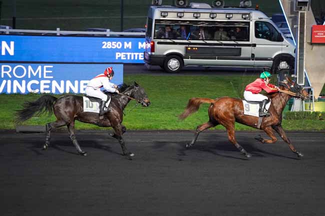 Photo d'arrivée de la course pmu PRIX DE MONTBRISON à PARIS-VINCENNES le Jeudi 26 décembre 2019