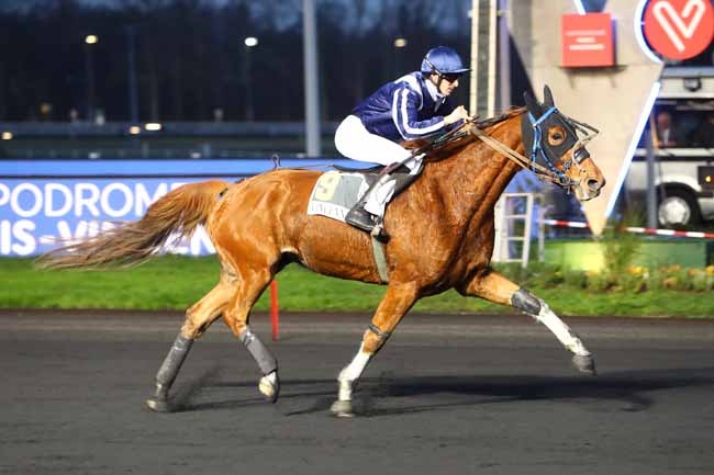 Photo d'arrivée de la course pmu PRIX DE FLERS à PARIS-VINCENNES le Vendredi 27 décembre 2019