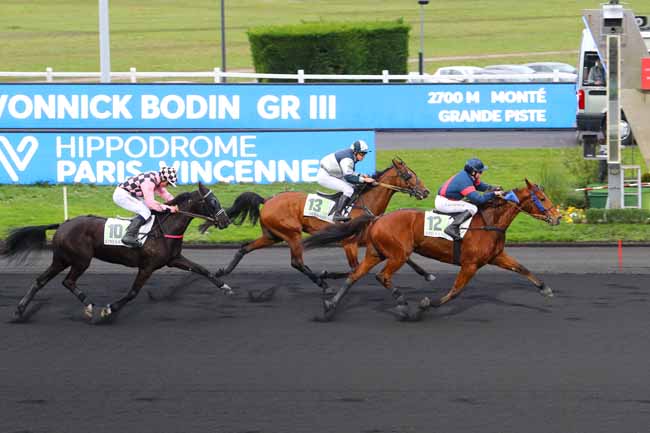 Photo d'arrivée de la course pmu PRIX YVONNICK BODIN à PARIS-VINCENNES le Samedi 28 décembre 2019