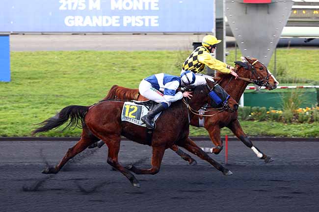 Photo d'arrivée de la course pmu PRIX DE NEUVILLE à PARIS-VINCENNES le Dimanche 29 décembre 2019