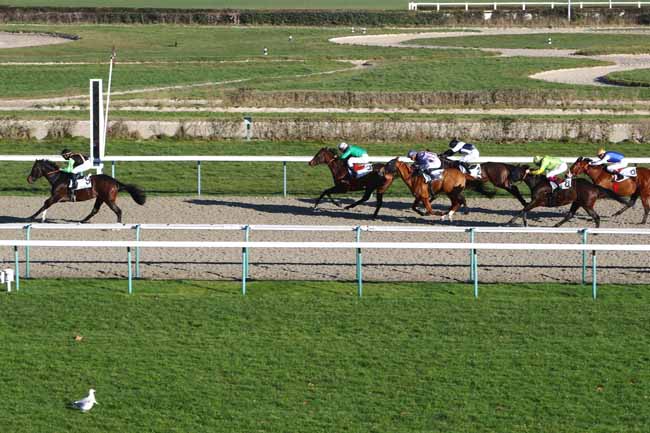 Photo d'arrivée de la course pmu PRIX DE LA BOURDONNIERE à DEAUVILLE le Lundi 30 décembre 2019