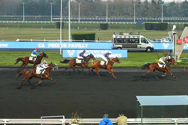 Photo d'arrivée de la course pmu PRIX DE PAVILLY à PARIS-VINCENNES le Mardi 31 décembre 2019