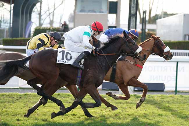 Photo d'arrivée de la course pmu PRIX PIERRE ESTREM REY à PAU le Jeudi 2 janvier 2020