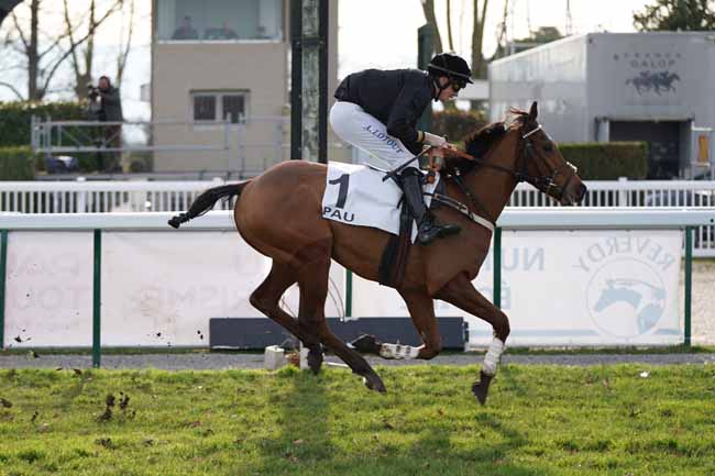 Photo d'arrivée de la course pmu PRIX ALFRED TORRANCE à PAU le Jeudi 2 janvier 2020