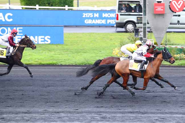 Photo d'arrivée de la course pmu PRIX DE VEZAC à PARIS-VINCENNES le Jeudi 2 janvier 2020