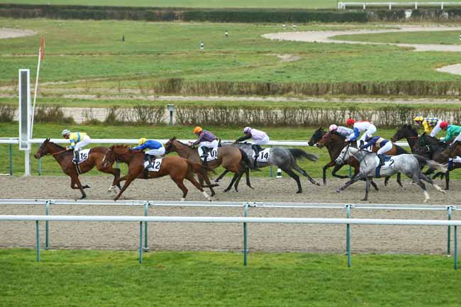 Photo d'arrivée de la course pmu PRIX DE L'AURE à DEAUVILLE le Vendredi 3 janvier 2020