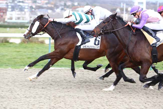 Photo d'arrivée de la course pmu PRIX DE LA SEULLES à DEAUVILLE le Samedi 4 janvier 2020