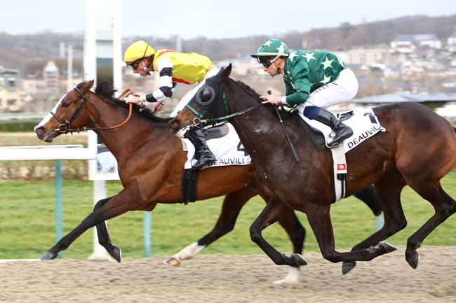 Photo d'arrivée de la course pmu PRIX DES GRANGES à DEAUVILLE le Samedi 4 janvier 2020