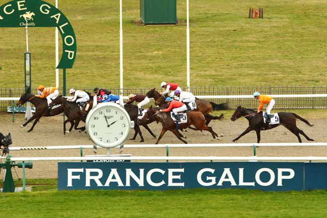 Photo d'arrivée de la course pmu PRIX DE LA MAISON DE SYLVIE à CHANTILLY le Mercredi 8 janvier 2020