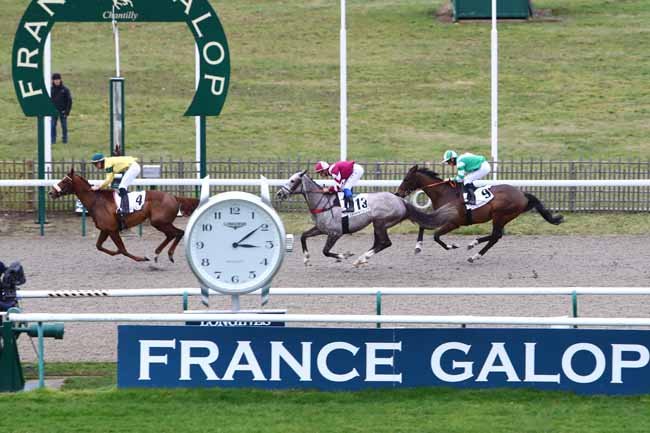 Photo d'arrivée de la course pmu PRIX DU LAVOIR DE CHAUMONT à CHANTILLY le Mercredi 8 janvier 2020