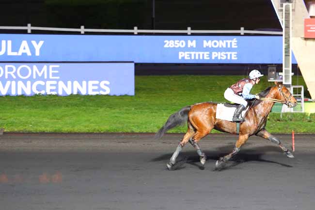 Photo d'arrivée de la course pmu PRIX DE BOULAY à PARIS-VINCENNES le Vendredi 10 janvier 2020