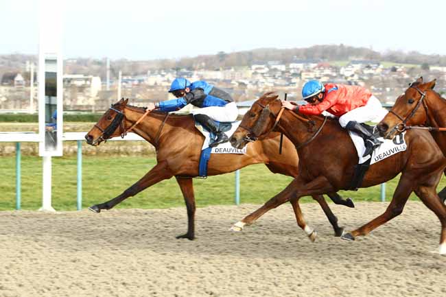 Photo d'arrivée de la course pmu PRIX DE BEAUFOSSE à DEAUVILLE le Samedi 11 janvier 2020