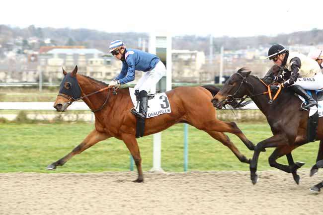 Photo d'arrivée de la course pmu PRIX DE RYES à DEAUVILLE le Samedi 11 janvier 2020
